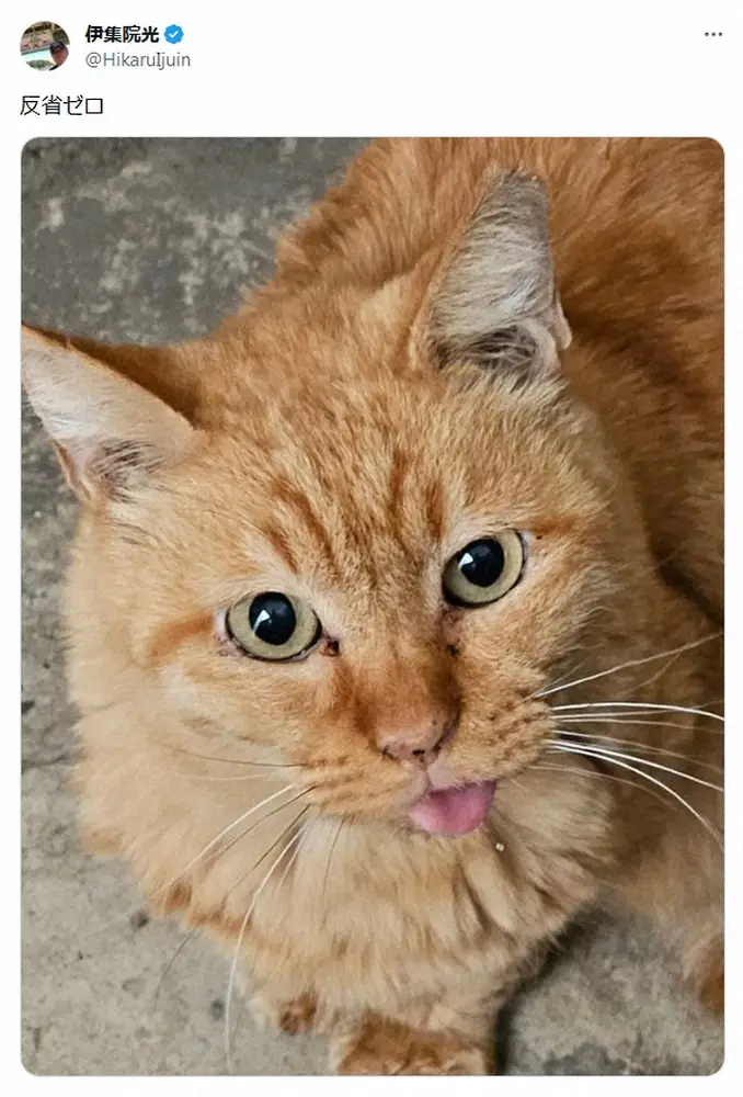 【画像・写真】伊集院光「一口やられた」　置き配注文したハンバーガーが被害！“犯人”判明も…「反省ゼロ」