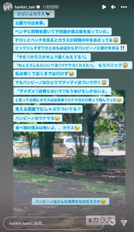 【画像・写真】平愛梨　公園でカラスに荷物荒らされ大パニック！　長男のまさかの反応に「ズコーッ」「知るかーぁ」
