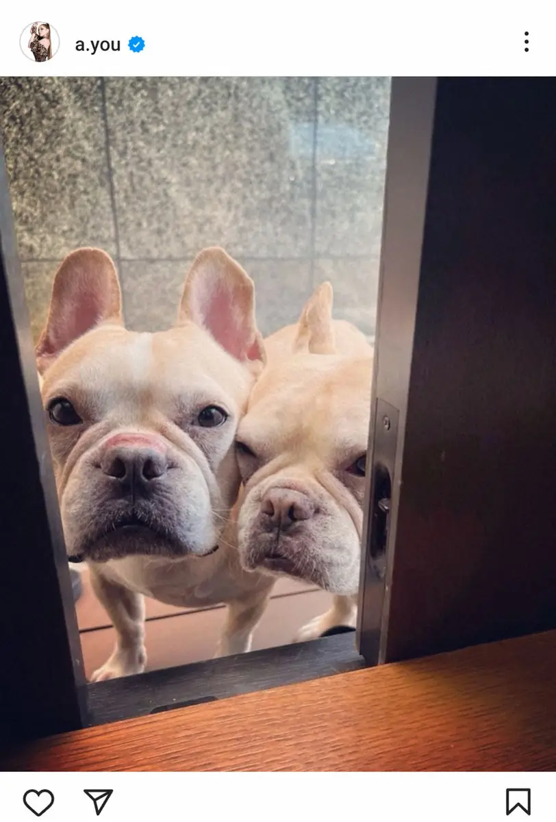 【画像・写真】浜崎あゆみ“新しい家族”を迎え入れることを報告「ふたりの生涯の家になれますように」