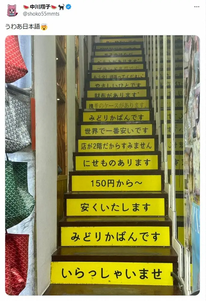 【画像・写真】中川翔子　「うわあ日本語」韓国で目撃した衝撃写真が話題「笑う」「アウトやん」の声