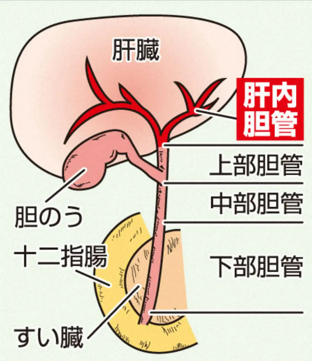 【画像・写真】伊集院静氏死去　10月に公表した「肝内胆管がん」とは…川島なお美さん、斉藤仁さん、平尾誠二さんも