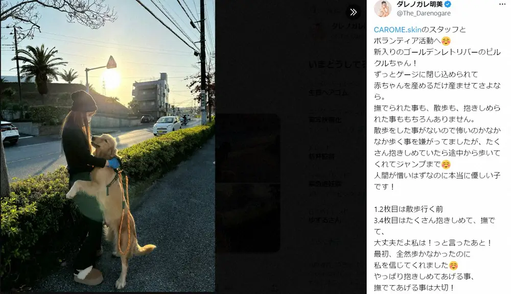 【画像・写真】ダレノガレ明美、犬の保護活動公開　一部から批判…経緯説明「いきなりワンちゃんに触ったわけじゃない」