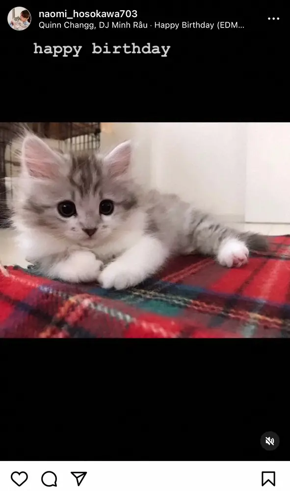 【画像・写真】細川直美　公表まで「半年かかったこと」明かす　「心配で、何かあったらと…」