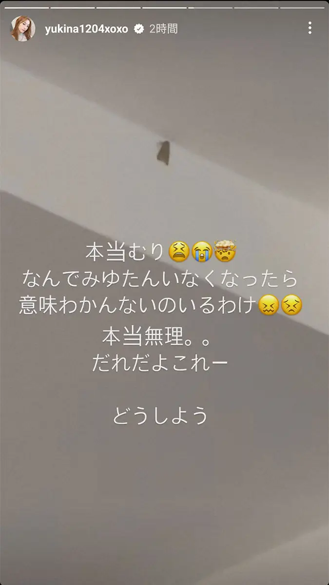 【画像・写真】木下優樹菜さん悲鳴　恋人・三幸秀稔がいなくなった自宅に「意味わかんないのいるわけ　本当無理」