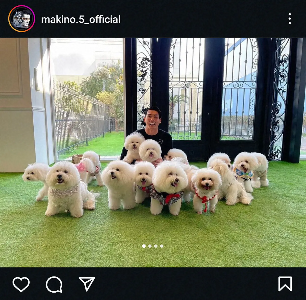 【画像・写真】モフモフの大渋滞！　槙野智章氏　愛犬と参加した“同種会”が可愛すぎる…！「最高に幸せですね」