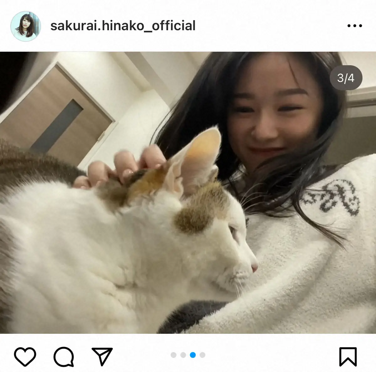 【画像・写真】桜井日奈子公式インスタグラム（＠sakurai.hinako_official）から