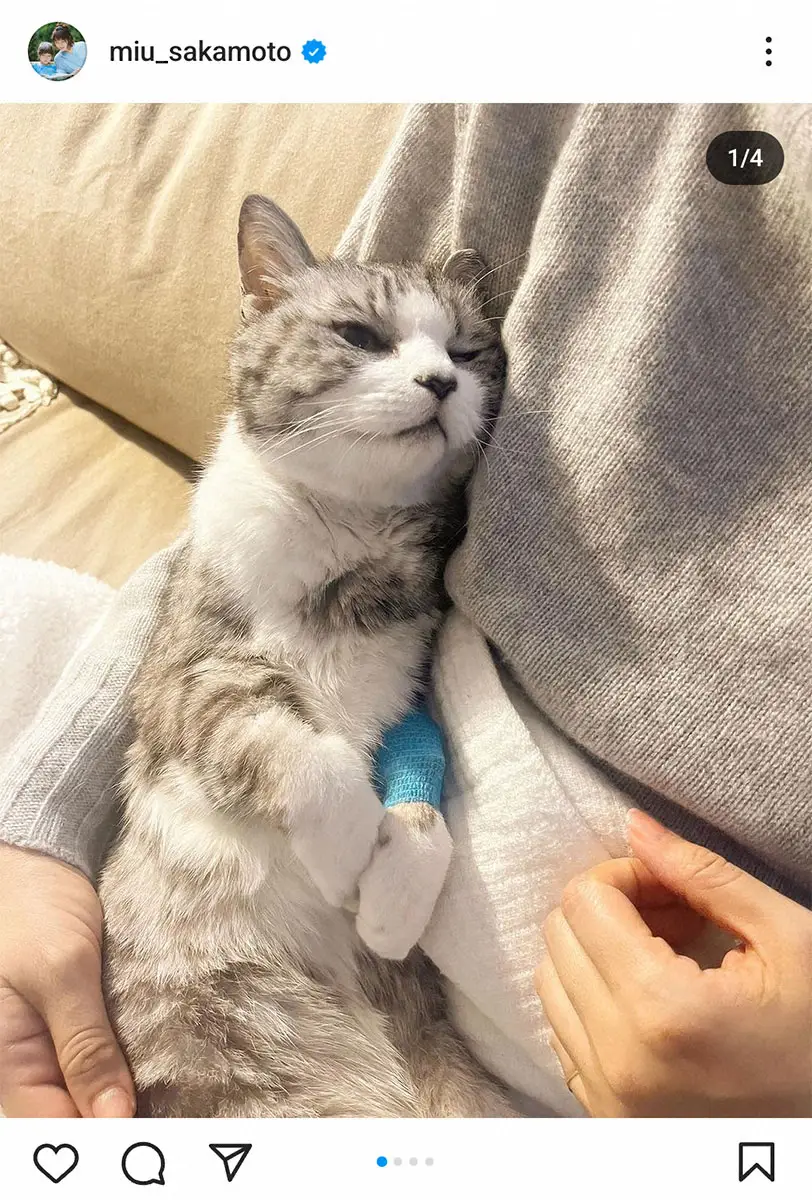 【画像・写真】坂本美雨　愛猫・サバ美が「奇跡的な回復」も今度は本人が体調不良報告「一緒に元気になってもどります」