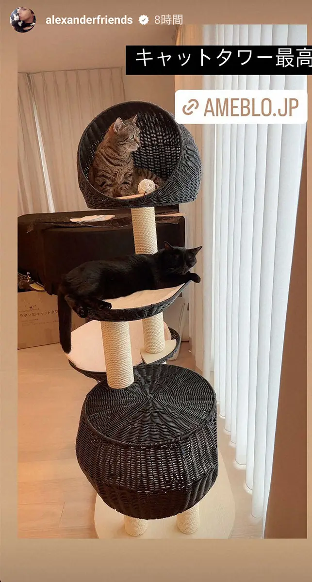 【画像・写真】川崎希＆アレクサンダー夫妻「新しい家族」が増えたと報告　「本当にかわいい」とメロメロ