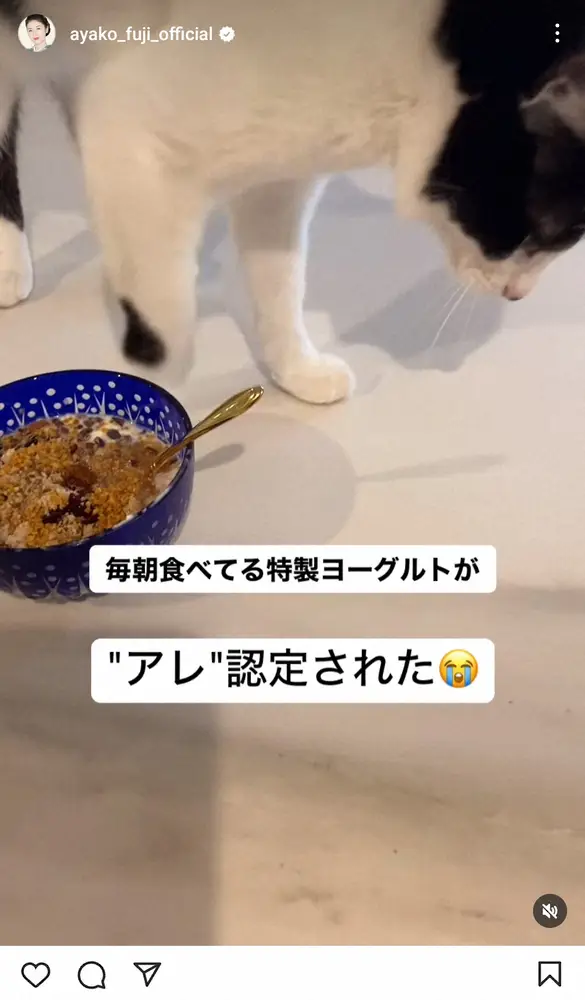 【画像・写真】藤あや子　「ショックすぎる…」愛猫のまさかの珍リアクションに困惑「それは私のヨーグルトなのよ」