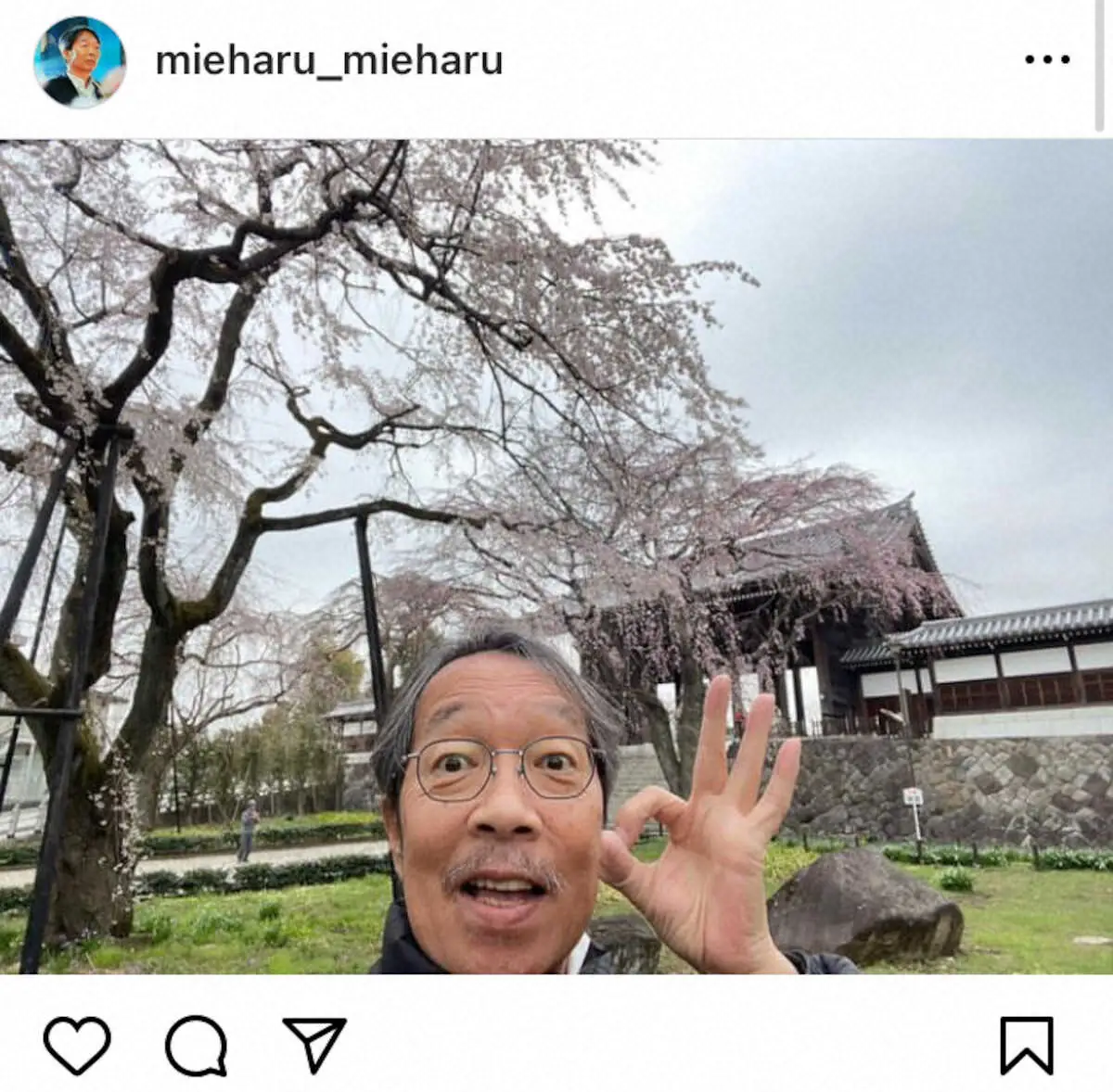 【画像・写真】見栄晴　放射線治療後に早めの花見「土日は暖かくなるみたいですし、きっと最高です」