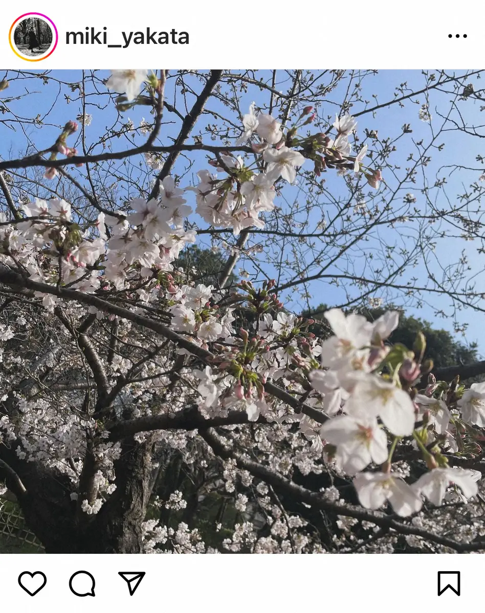 【画像・写真】矢方美紀　乳がん診断で左乳房全摘出から6年経過　現在の心境吐露「これからも人生を進んでいこうと」