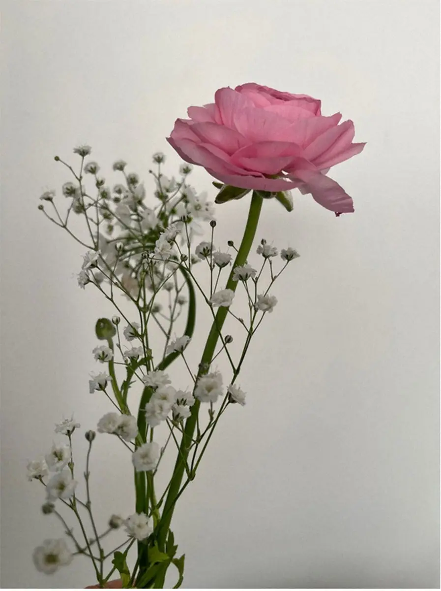 【画像・写真】黒沢年雄　最愛の妻・街田リーヌの闘病明かす　「急激に壊れていく…」と心境吐露　