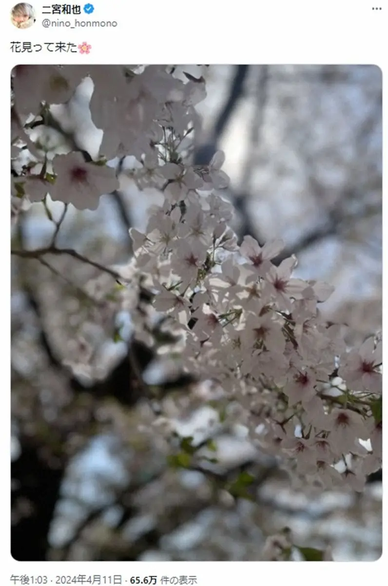 【画像・写真】二宮和也　「花見ってきた」お花見撮影リベンジ成功　”嵐”のあの曲でコメントするファンも…
