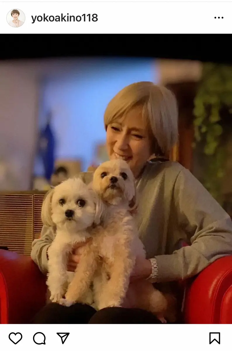 【画像・写真】秋野暢子　内視鏡手術終え、退院「帰って来ました」　自宅での愛犬たちとの戯れ公開「ベタベタしてます」