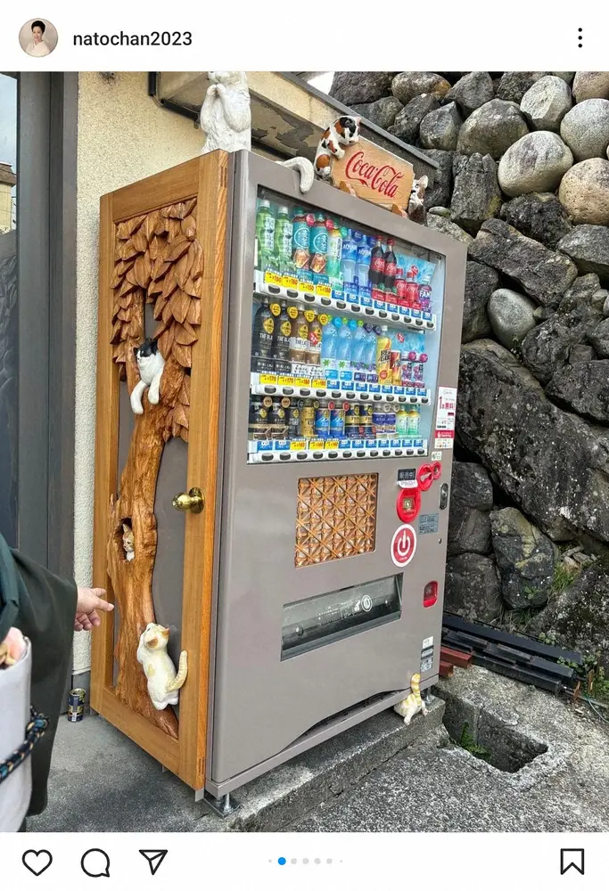 【画像・写真】名取裕子　「これニャーんだ？」富山ロケで猫まみれのアレ発見「可愛い」「行ってみたい」の声