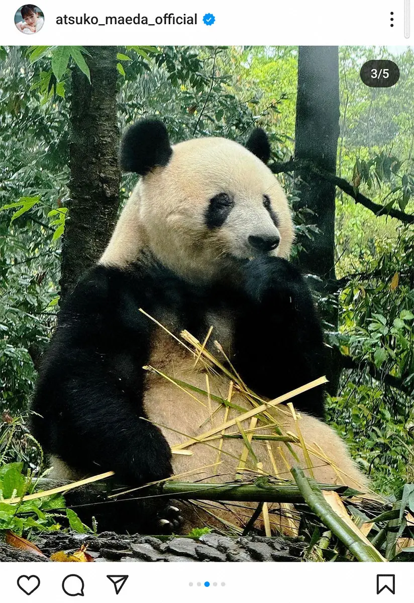 【画像・写真】前田敦子公式インスタグラム(@atsuko_maeda_official)から