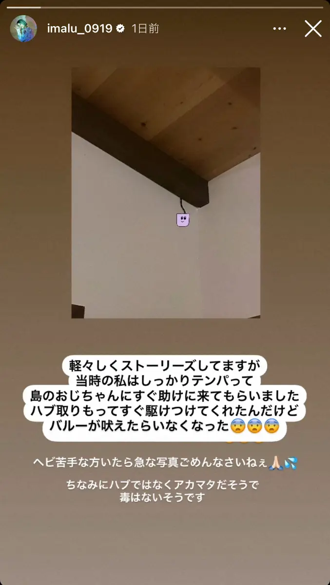 【画像・写真】IMALUの公式インスタグラム（@imalu_0919)から