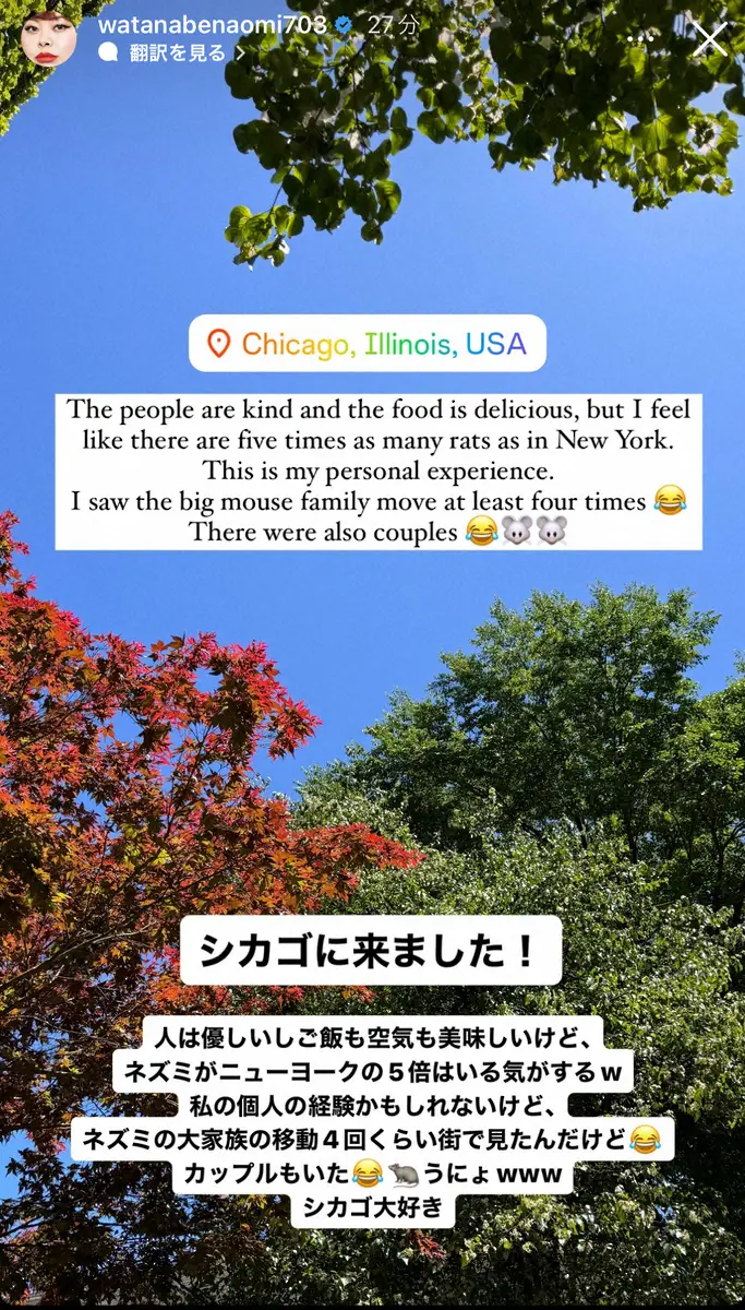 【画像・写真】渡辺直美　シカゴで衝撃！動物の「大家族の移動4回ぐらい」目撃　「ニューヨークの5倍はいる気が」