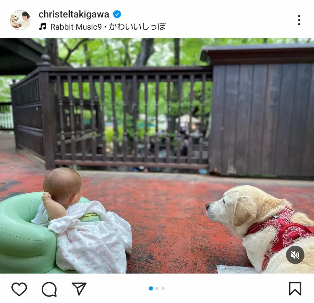 【画像・写真】滝川クリステル　6カ月の長女を見守る超高齢の愛犬ショット披露「全く歩けませんが元気にしています」