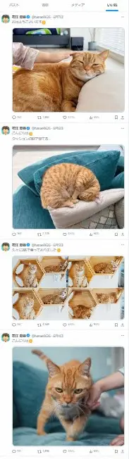 【画像・写真】X「いいね」非公開　ネット騒然…広瀬アリスの「いいね欄」に注目　「今のうちに見て」「これはヤバイ」