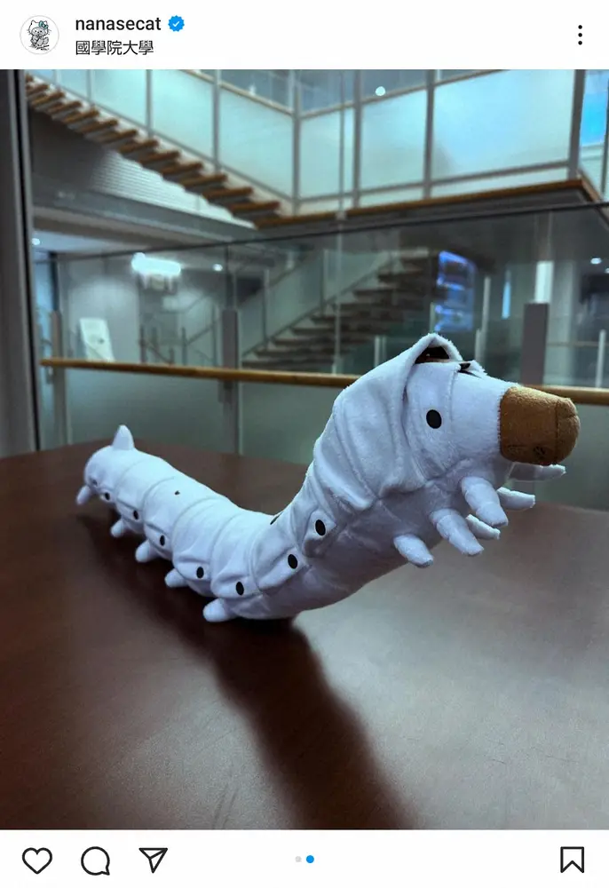 【画像・写真】相川七瀬　「遠くから見たらギプスかと思った」友人購入の“レアぬいぐるみ”紹介「初めて見た」