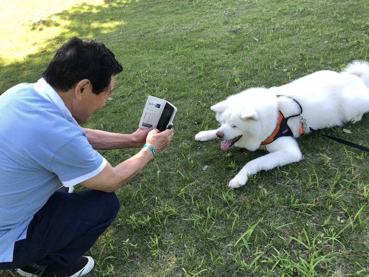 【画像・写真】なべおさみ　30年以上欠かさぬ散歩　秋田犬とワンダフルな毎日