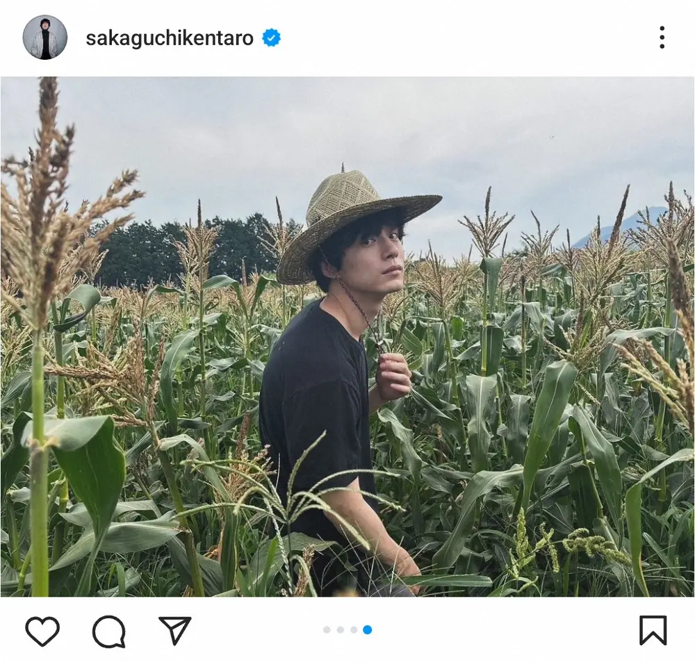 【画像・写真】坂口健太郎　とうもろこし畑の“誕生日ショット”に「カールおじさんかと」「お洒落に見えてしまう」の声
