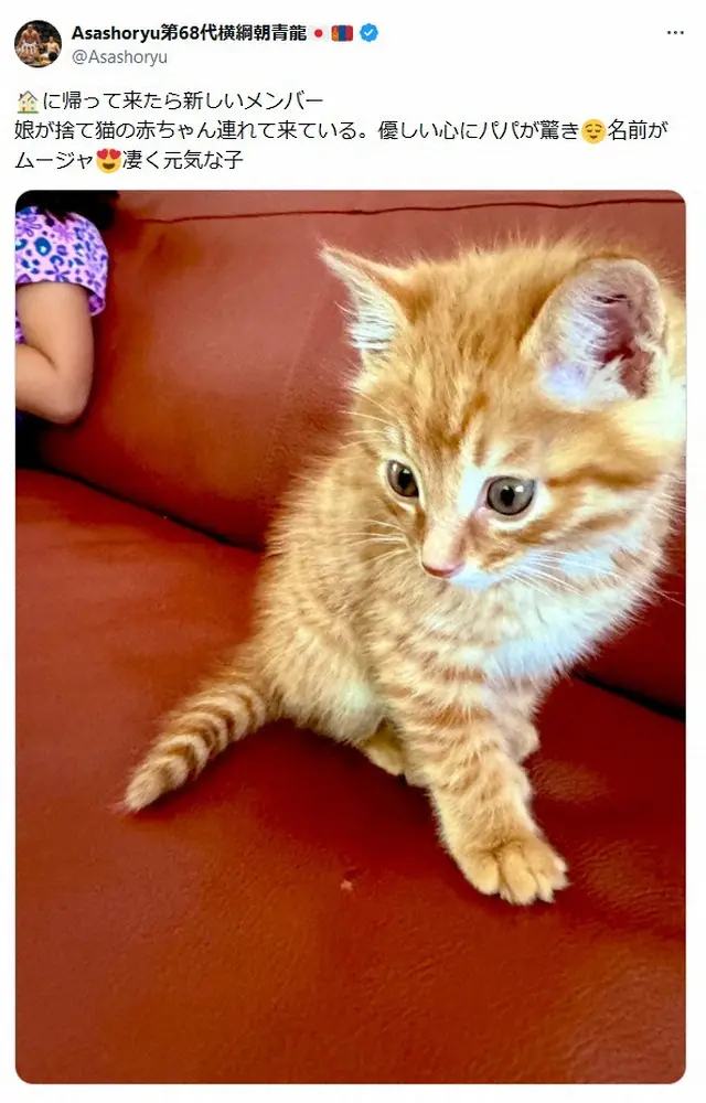 【画像・写真】元朝青龍「新しいメンバー」　ドルジ家に増えた家族を紹介「良かったな！」「大きくなりそう」の声