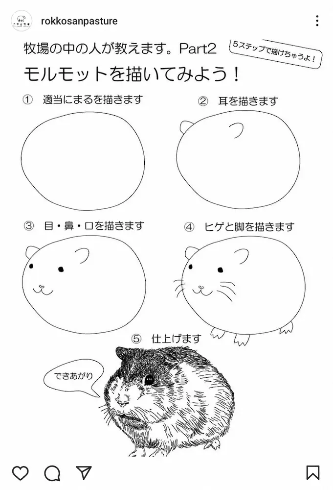 【画像・写真】“たった5ステップ”六甲山牧場が紹介した動物イラストの描き方が話題「ハードル高すぎ」「無理ですて」