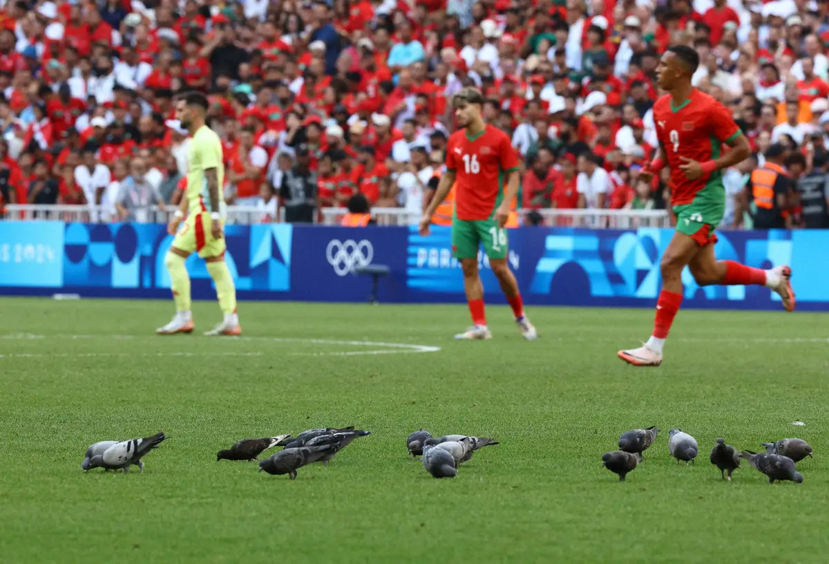 【画像・写真】鳥がまさかの大集結！サッカー男子準々決勝の珍事に「ピッチに鳩多過ぎでは」「めっちゃいるw」ネット騒然