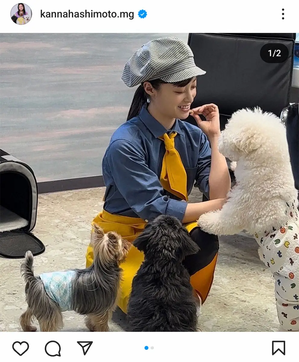 【画像・写真】橋本環奈　CM撮影の様子披露　モフモフ犬とたわむれる姿に「天使が舞い降りてる」「可愛すぎて最高」の声