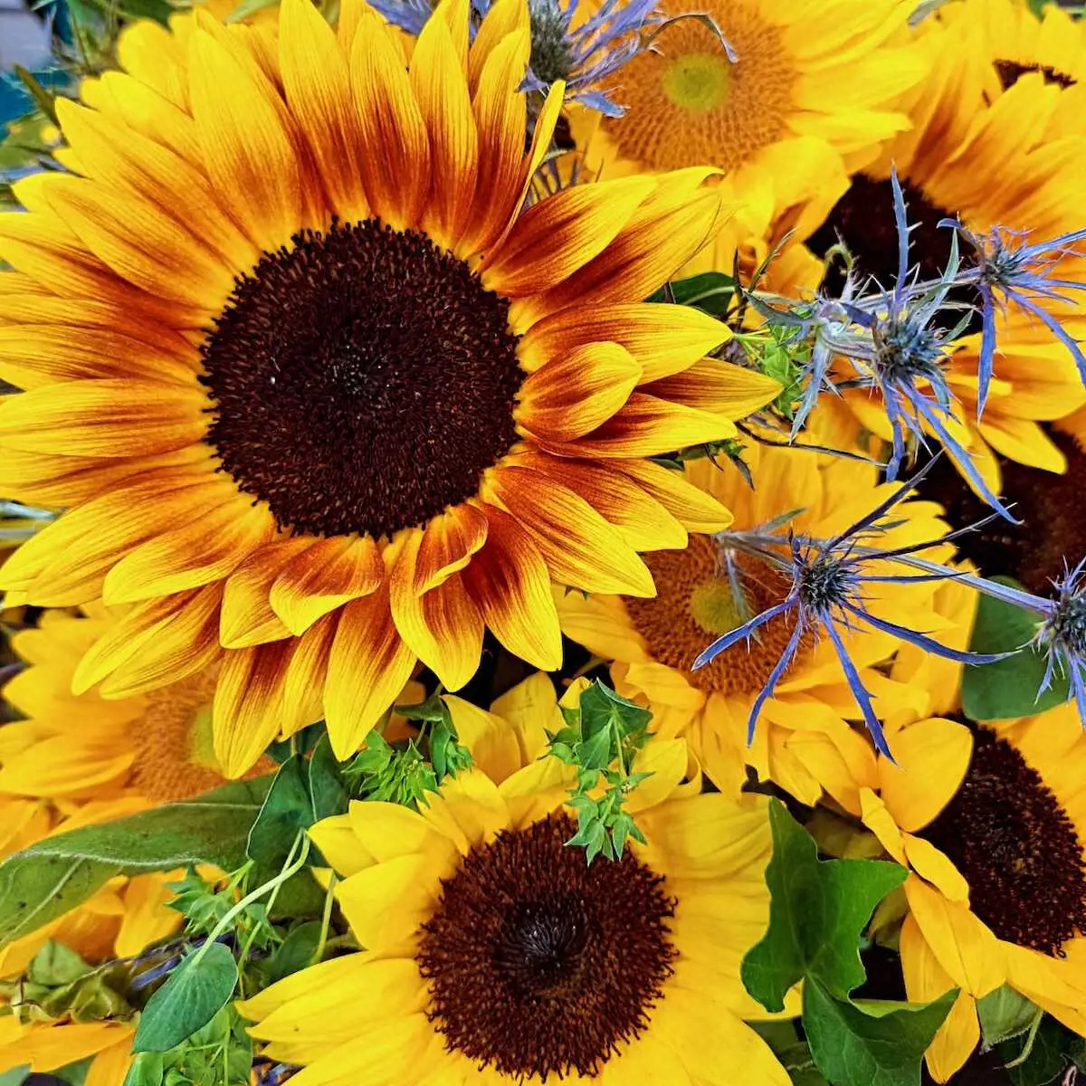 【画像・写真】谷口キヨコ「ほんまに謎」　お盆といえば…お布施の「お気持ち」っていくらすればいいの？