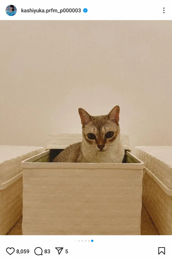 【画像・写真】Perfumeかしゆか「何入れよう」逸品以上にファンが注目したのは「もう入ってる」「専用ですね」