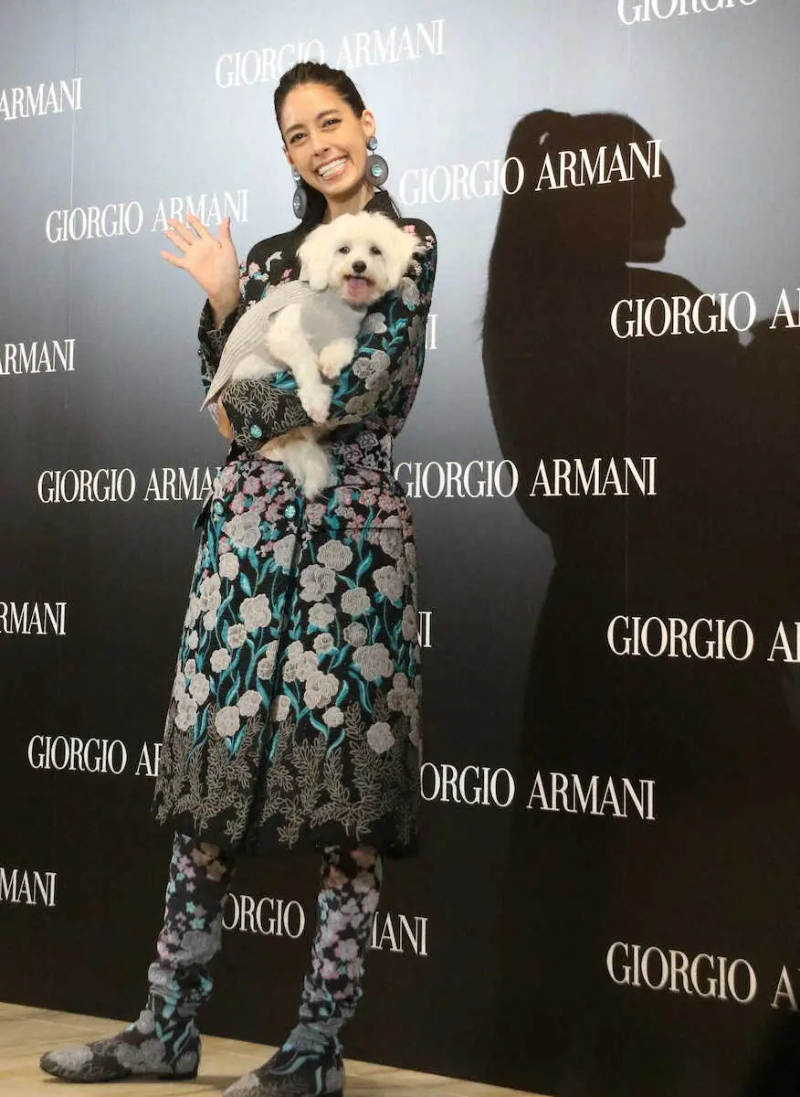 【画像・写真】森泉　今年から犬のトリミングスクールに通学「毎日ワンちゃんのシャンプーをしてカットしている」