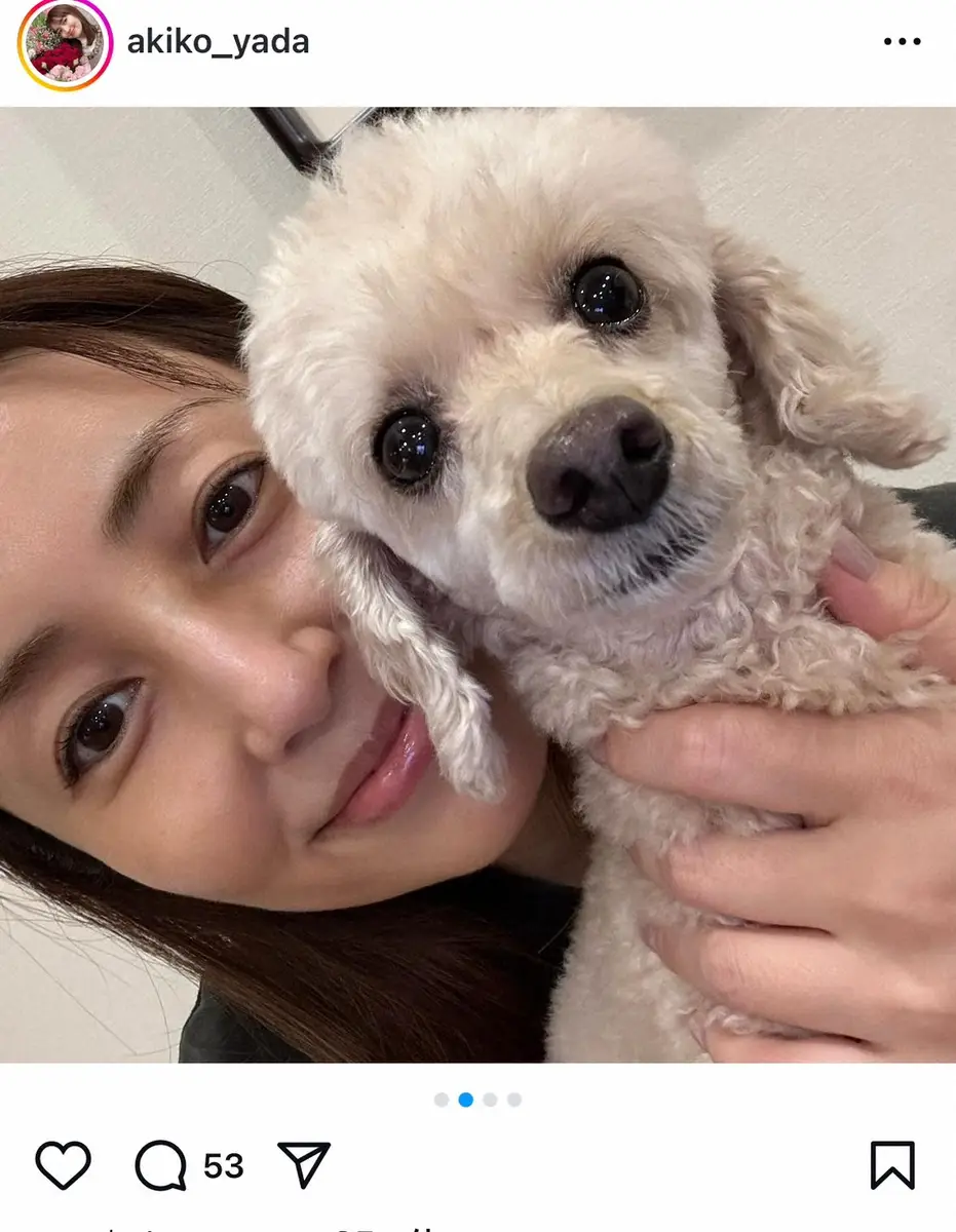 【画像・写真】矢田亜希子　愛犬との“ドアップ密着ショット”が話題　「どことなく似てる」「お肌ツヤツヤ」の声