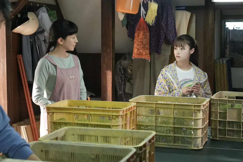 【画像・写真】【明日11日のおむすび】第10話　家族と農作物の仕分けをする結にギャルから“とあるメール”が…