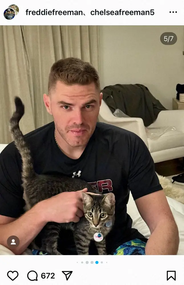 【画像・写真】フリーマン一家に新たな家族！子猫「チャンプ」名付け理由は？ファン「かわいい」「来季、始球式に…」