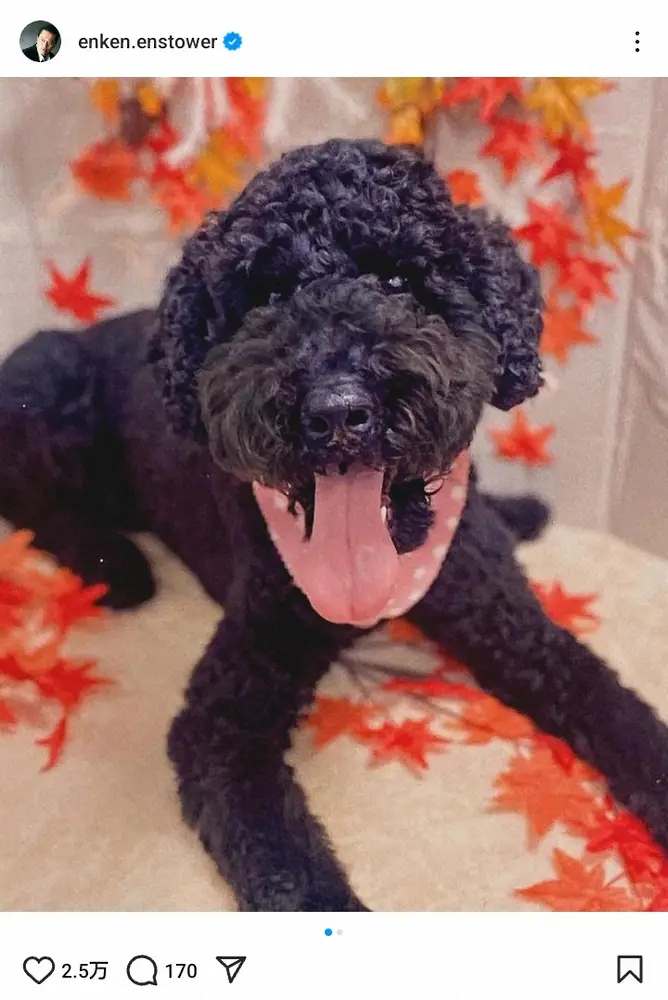 【画像・写真】遠藤憲一　ベロが巨大に！？愛犬の“異変”にファン驚がく「あらま」「だまされました」「ホンマや」