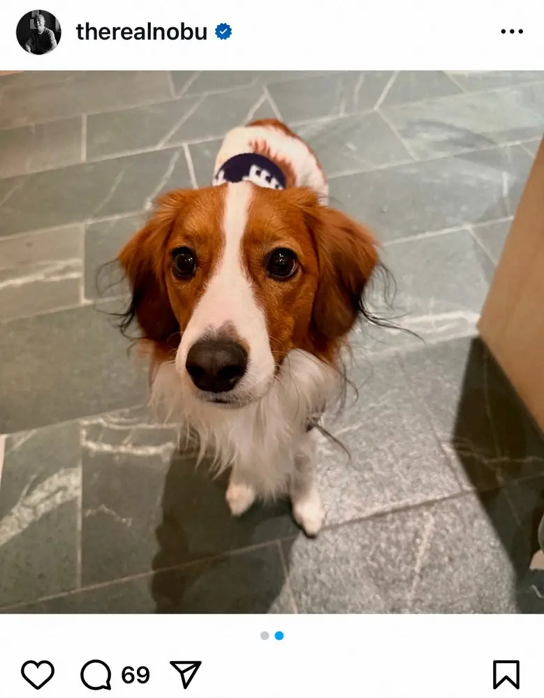 【画像・写真】LA有名日本人シェフが大谷＆山本との記念写真公開！WS＆MVP「おめでとう」デコピンどアップ写真も