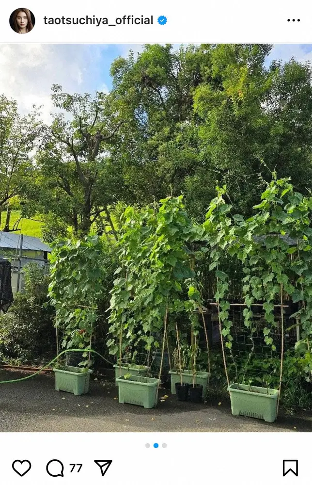 【画像・写真】土屋太鳳　最終回「海に眠るダイヤモンド」オフショット公開に「本当に細部まで魂がこもっていますね」