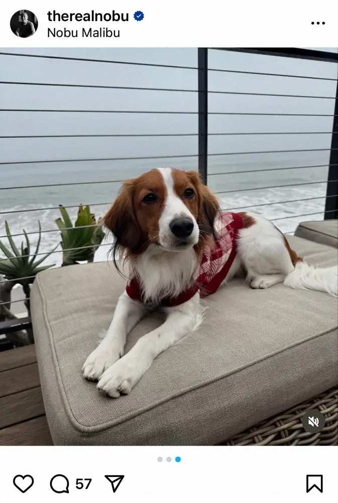 【画像・写真】「私ってこんな小さかったっけ？」LA有名日本人シェフが大谷翔平との2ショット公開　デコピンの姿も