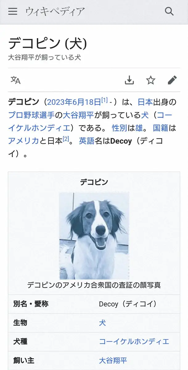 【画像・写真】デコピン　Wikipediaに登場「大谷翔平が飼っている犬」ファンも反応「(犬)にわろたwww」