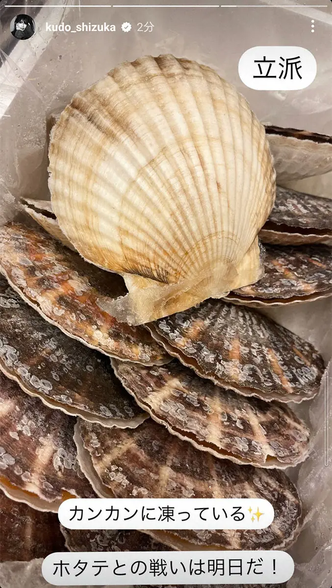 【画像・写真】工藤静香　毎年恒例、豪華おせち作り開始　鯛の刺身は「昆布〆に」　ホタテとの「戦いは明日だ！」