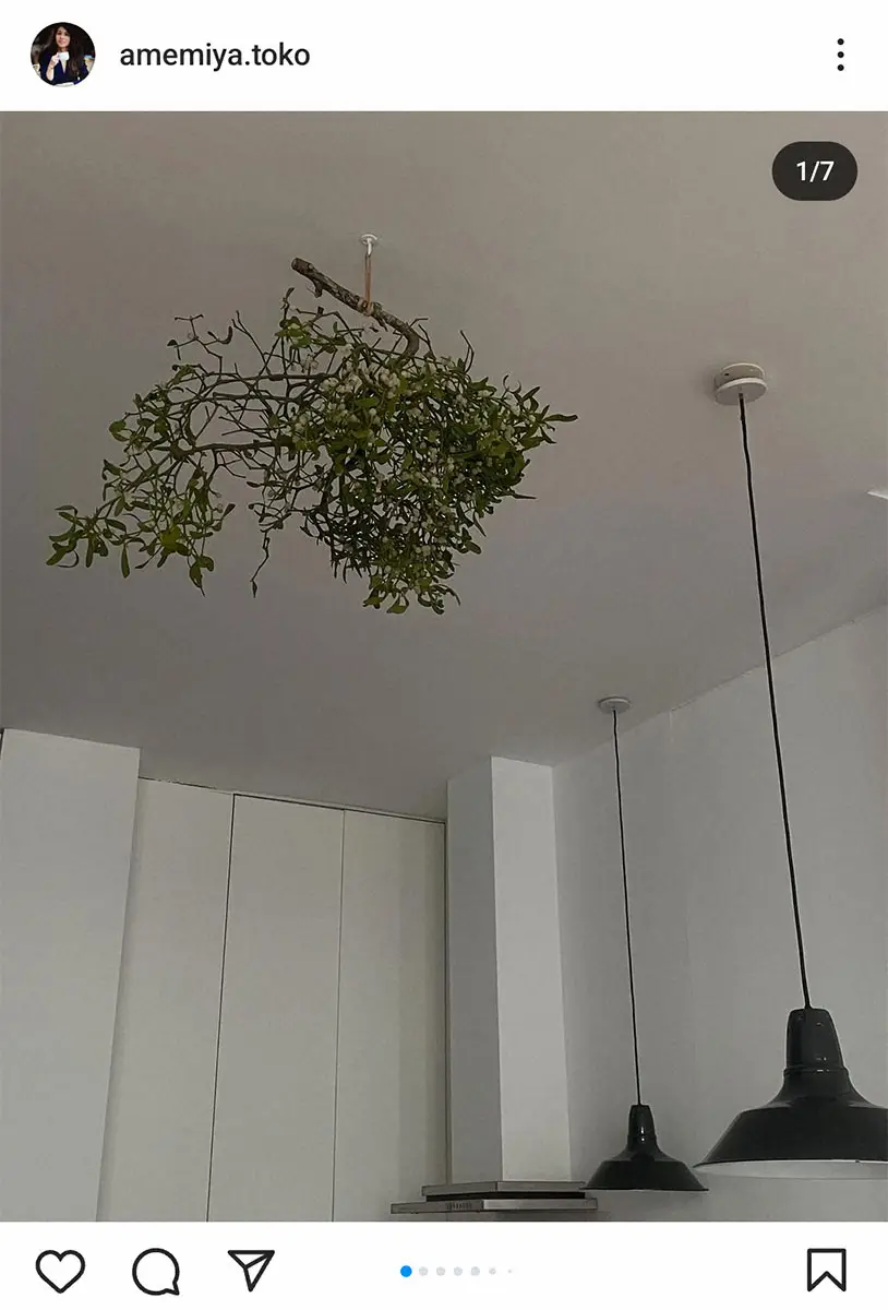 【画像・写真】雨宮塔子　フランスの年末年始の習慣披露　天井の高いキッチンにヤドリギ＆元夫のガレット・デ・ロワ