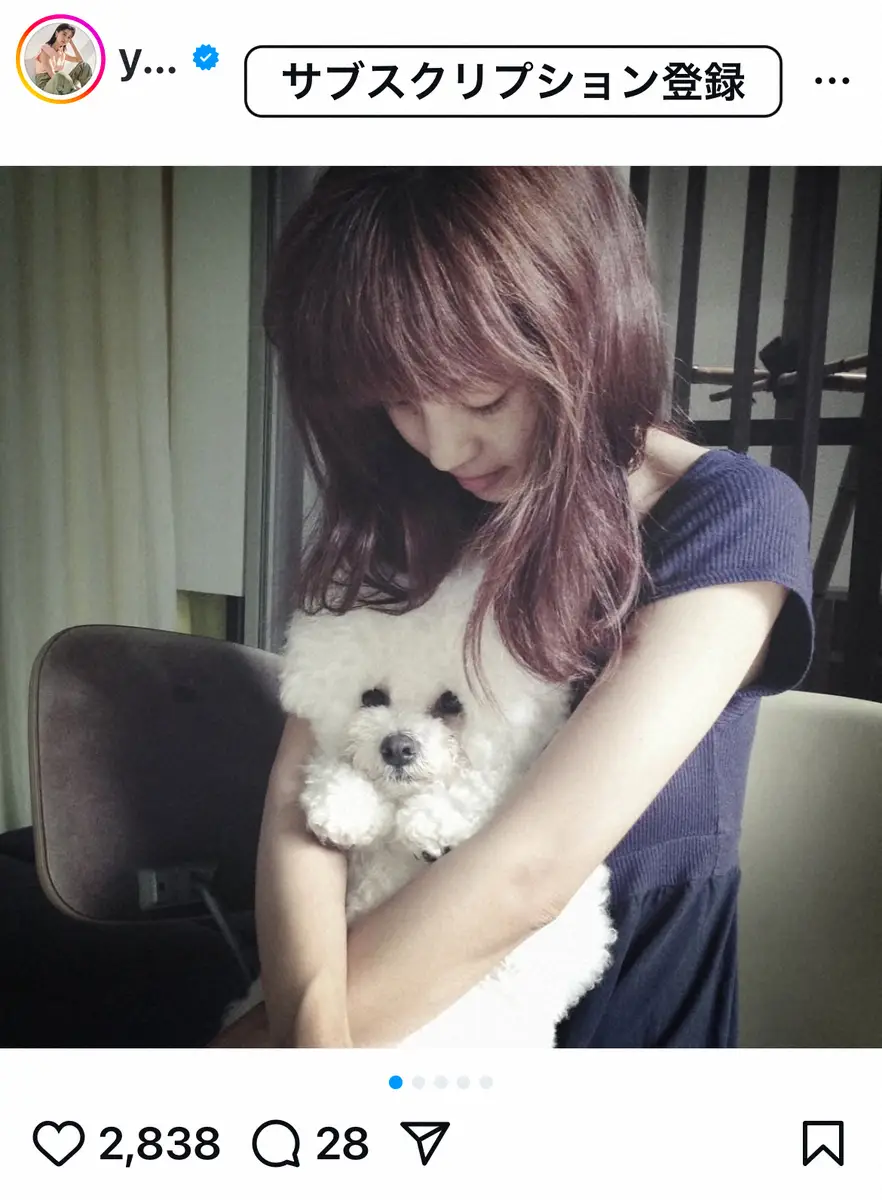 【画像・写真】安田美沙子　亡き愛犬の誕生日でお墓参り報告　家族で涙「1.17という日を決してわすれません」