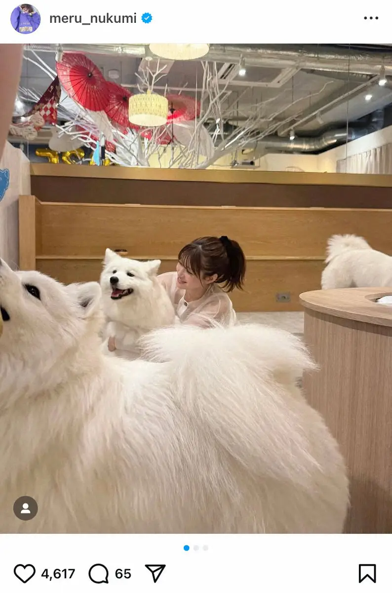 【画像・写真】めるる　白い“もっふもふ”に囲まれ満面の笑み、フォロワー絶賛「最強の組み合わせ」「最高のコラボ」