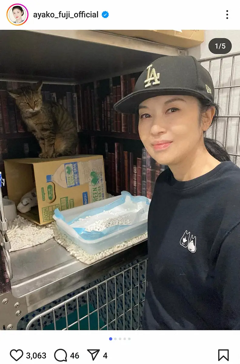 【画像・写真】藤あや子　猫の日に約112万円を愛護団体へ寄付　保護猫への思いも「人間の勝手な感情なのでは…」