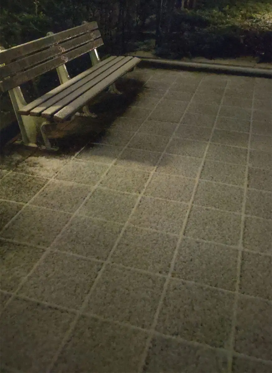 【画像・写真】都内でも積雪　スポーツ、エンタメ界への影響相次ぐ　京王百貨店・新宿店「551の豚まん」販売中止