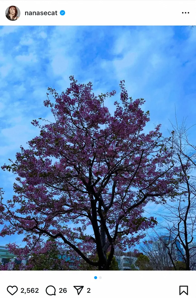 【画像・写真】大学院生・相川七瀬　「無事に卒業単位を満たしました」と報告　修士論文も「コツコツ書き始めます」