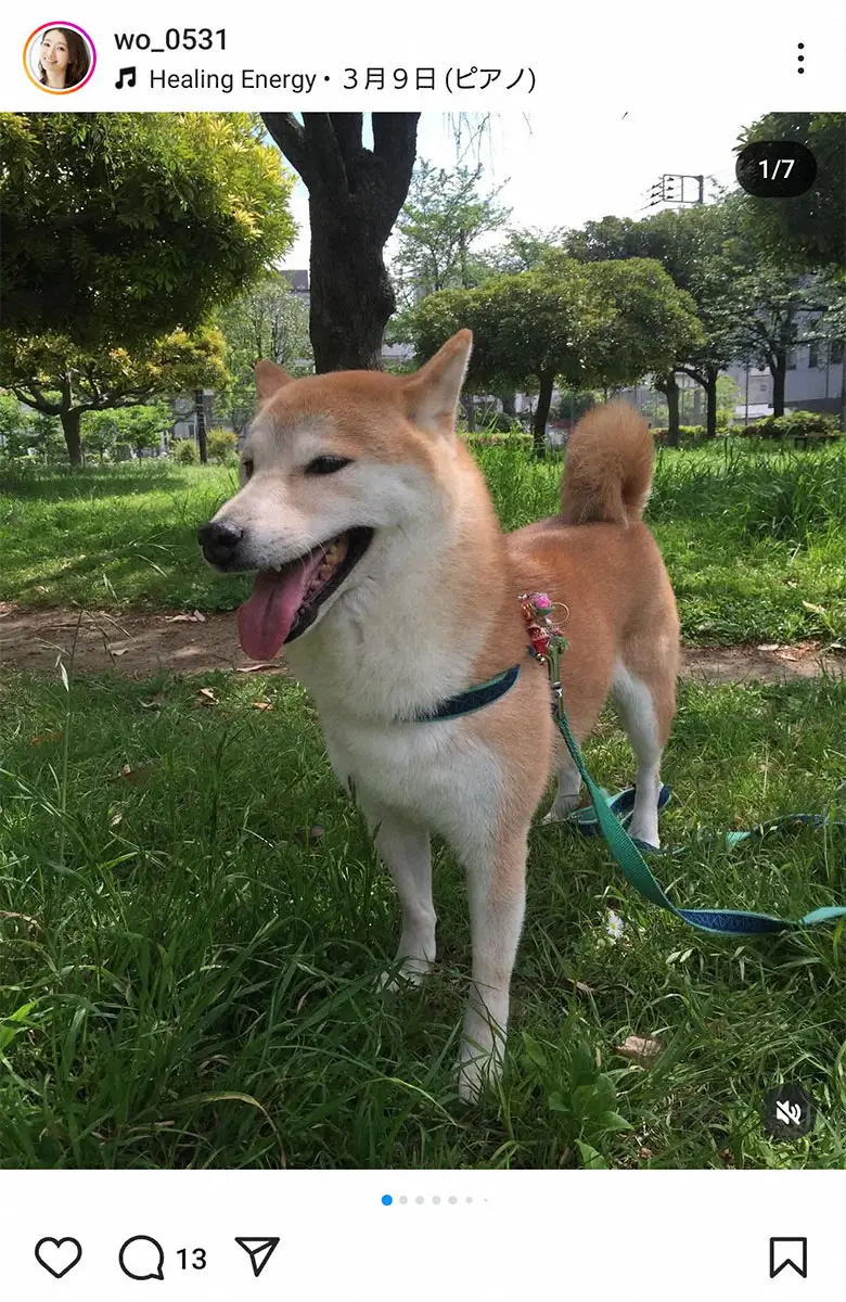 【画像・写真】眞鍋かをり公式インスタグラム（＠wo_0531）から